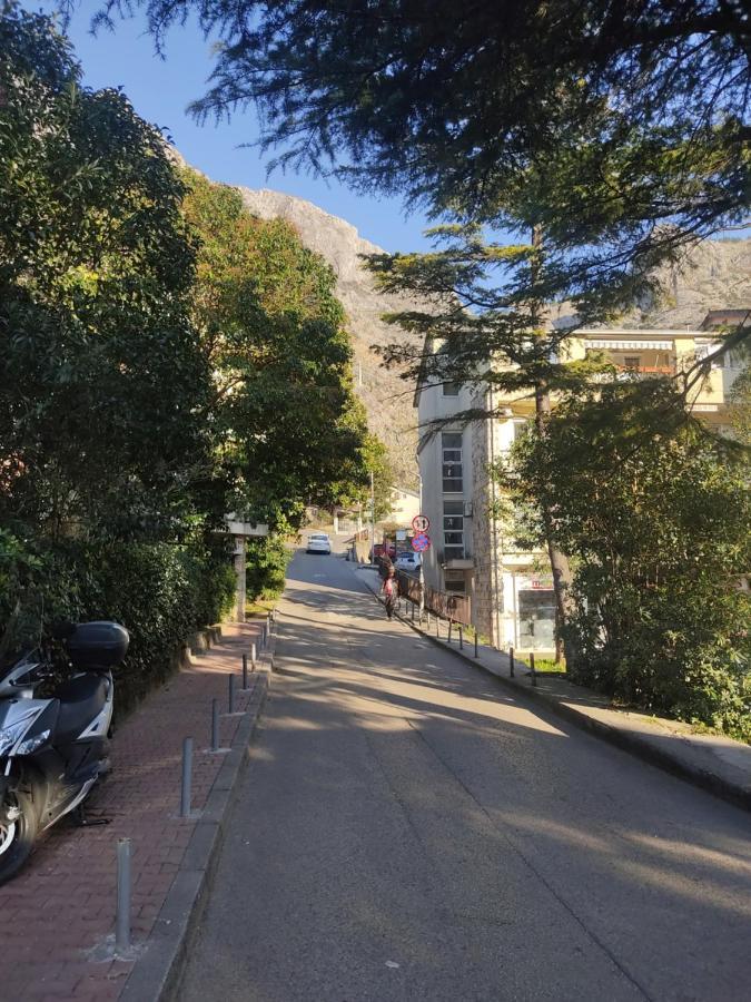 Apartment Oaza 科托尔 外观 照片