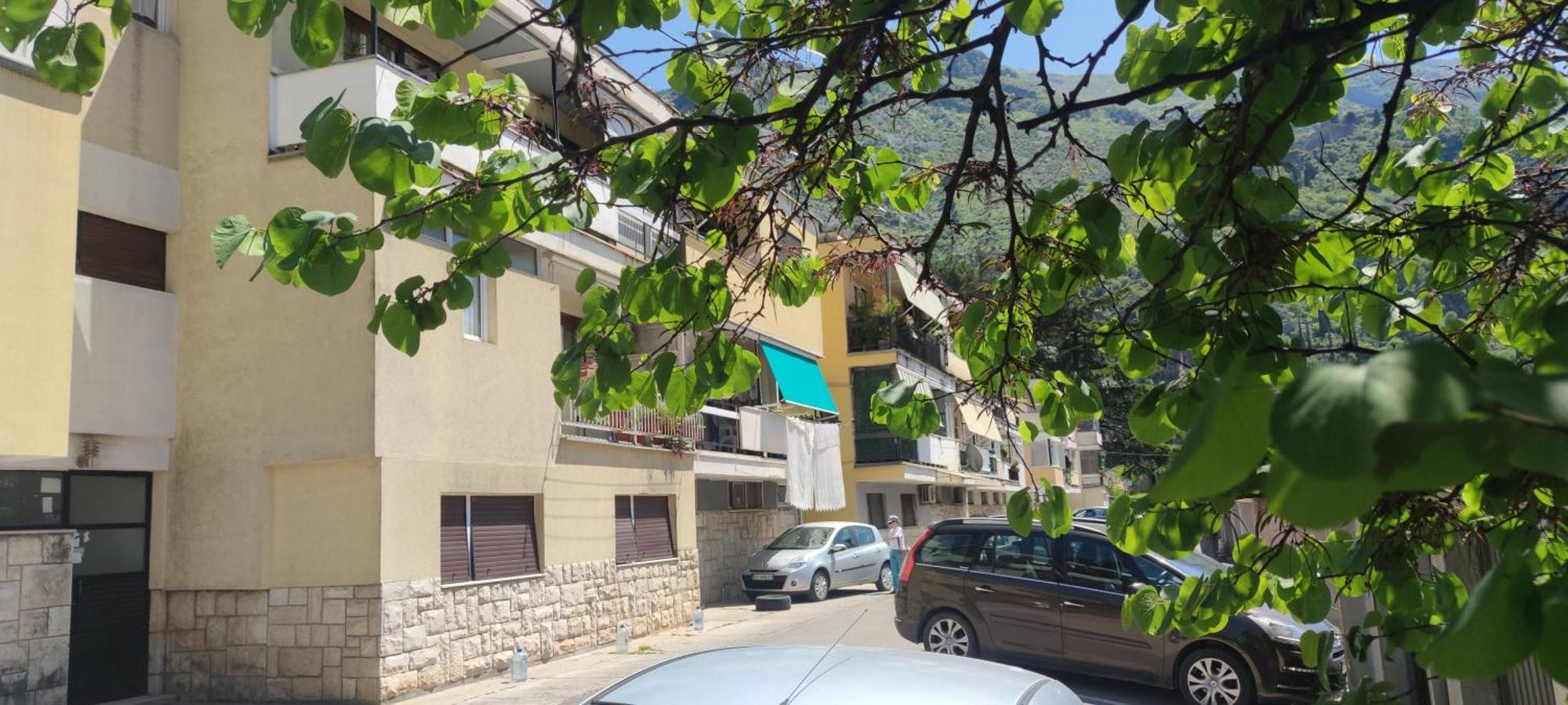 Apartment Oaza 科托尔 外观 照片